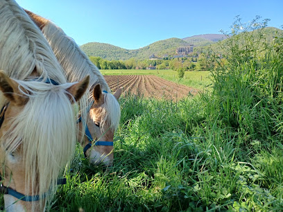 Les Destriers De St-Bertrand Centre Équestre à Saint-Bertrand-de-Comminges