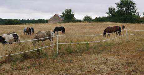 Equi-Liens Lieu De Rencontre Entre L'humain Et L'équin Centre Équestre à Chauvigny