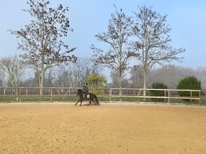Prim's Stables, Pension pour Chevaux à Montazeau