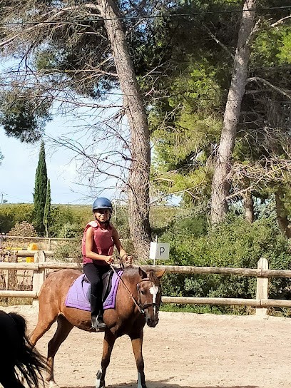 Equestrian Center Les Collets, Centre Equestres à Vitrolles