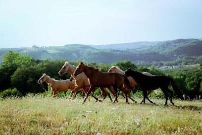 CENTRE EQUESTRE CSG WESTERN, Centre Equestres à Crépol