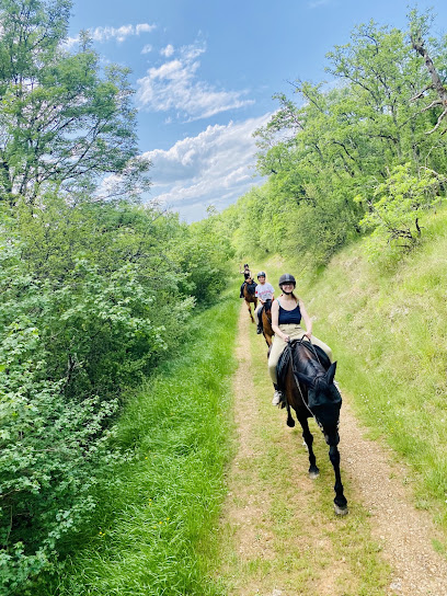 Equi Aventures Salviac, Centre Équestre à Salviac
