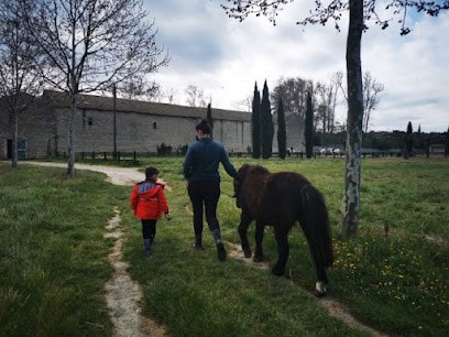 Centre Équestre Du Vergon, Centre Equestres à Mallemort