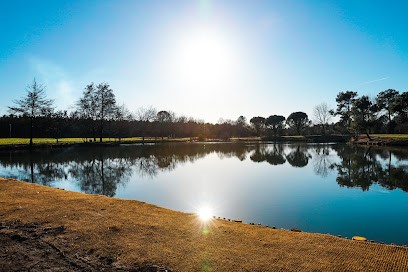 Plan d'eau d'Ous Pins, Centre Equestres à Tartas