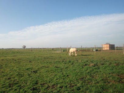 Ecuries Menjoulet, Pension pour Chevaux à Poucharramet