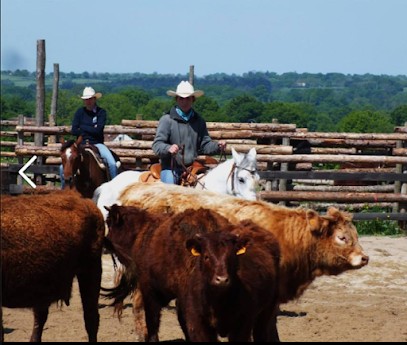 country pony ranch, Centre Equestres à Ygrande