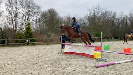 L’Ecrin, Ecurie familiale à Rumaucourt, Pension pour Chevaux à Rumaucourt