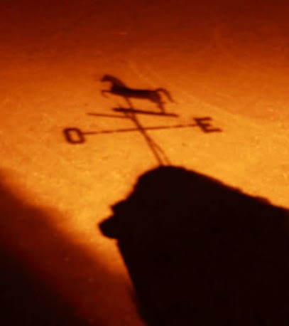 La Harelle des Chevaux, Centre Equestres à La Chapelle-Longueville