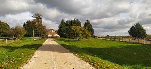 Ecurie Horse Evolution, Centre Equestres à Fronton