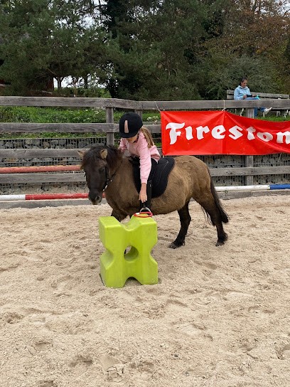 JTM élevage et Poney Club du haut bois, Centre Equestres au Haut Soultzbach