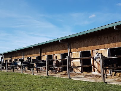 Yutz Equitation, Centre Equestres à Yutz