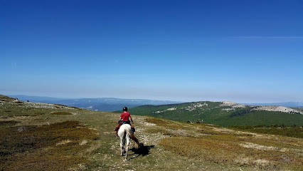 Centre De Tourisme équestre Les Granges, Centre Equestres à Ongles