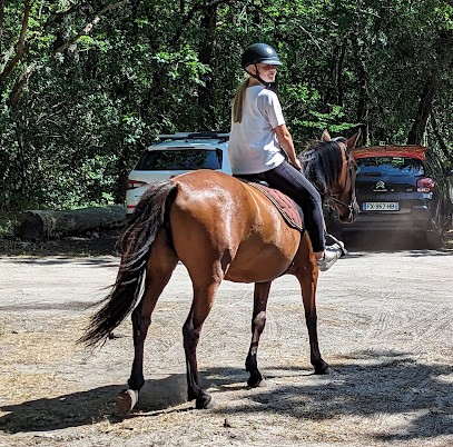 ECURIES DE TALARIS, Centre Equestres à Lacanau