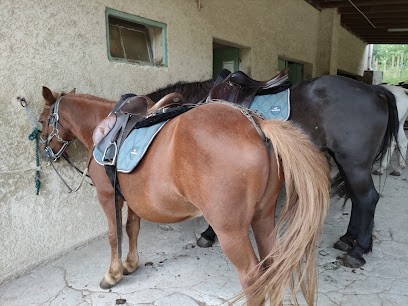 Ferme équestre le Foussac, Centre Equestres aux Salelles