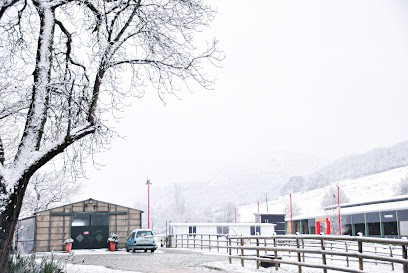 Domaine De Pepianne, Centre Equestres à Sabarat