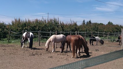 Stables Des Chaux, Centre Equestres à Larnage