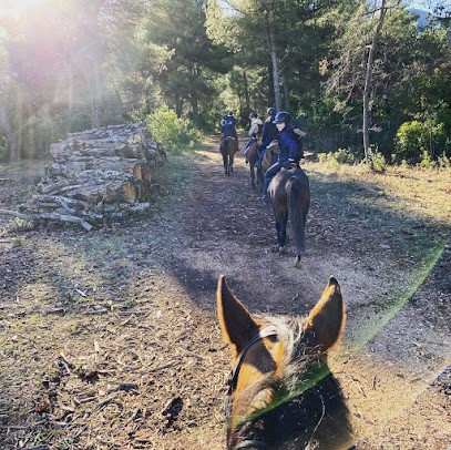 Stalls Mont Vert, Centre Equestres à Saint-Zacharie