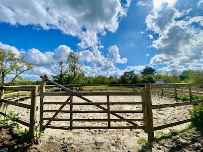 Stud Des Epasses, Pension pour Chevaux à Villejust