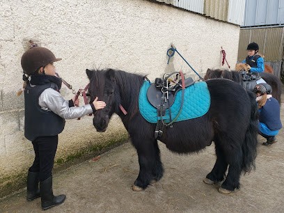 écuries du railly, Centre Equestres à Rouvrois-sur-Othain