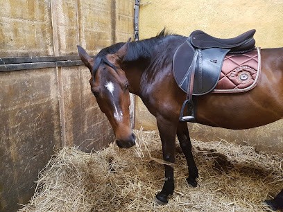 ECURIE DE SEVENNES, Centre Equestres à Plaisance-du-Touch