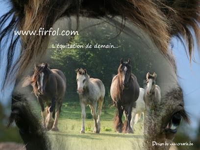 Firfol Académie D'enseignement Comportemental, Centre Equestres à Firfol