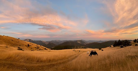 Cavalse - Rando à Cheval, Centre Equestres à Glandage