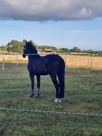 Domaine De La Bonnevaltrie, Pension Pour Chevaux à Vernoil-le-Fourrier