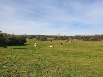 CENTRE DE NIELLANS, Centre Equestres à Loray