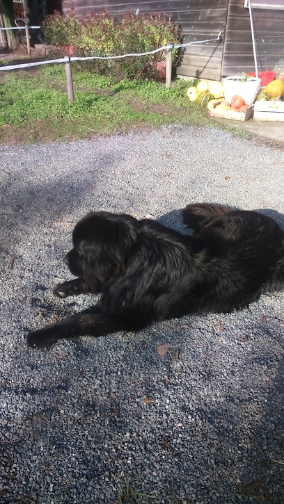 EARL Du Maloo, Centre Equestres au Breuil