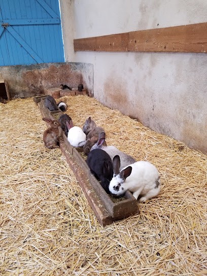 Holiday Center La Ferme De Pégase, Centre Equestres à Ancy-Dornot