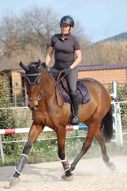 Écurie les oliviers, Centre Equestres à Pignans