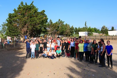 La Colonie - Centre Équestre, Centre Equestres à Saint-Laurent-de-la-Salanque