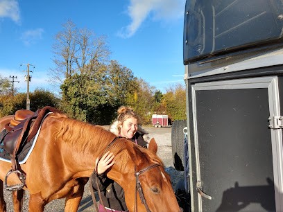 CENTRE EQUESTRE SAGIEN, Centre Equestres à Sées