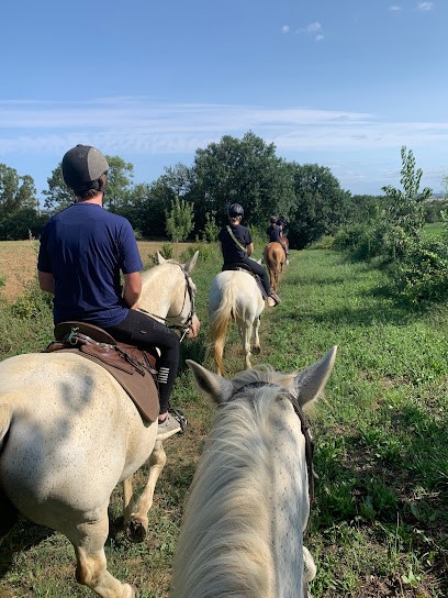 Stables De Charlas, Centre Equestres à Gimont