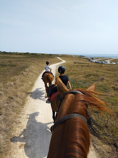 La Grande Randonnée, Centre Equestres à Saint-Pierre-Quiberon