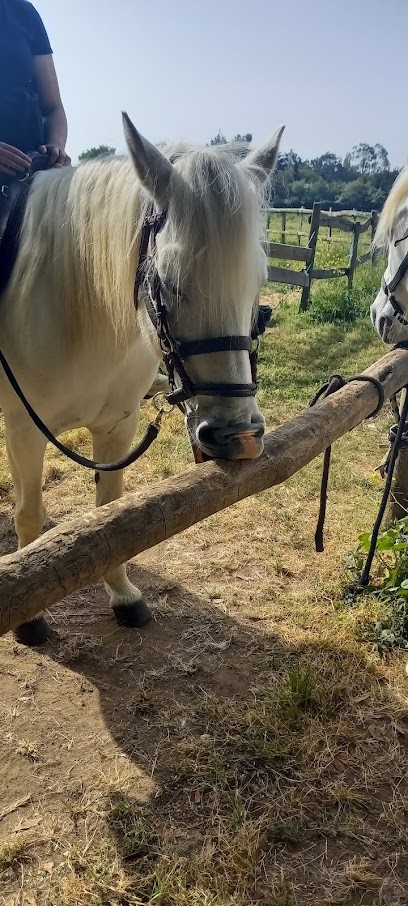 Les Cavaliers D'oléron, Centre Equestres à Saint-Georges-d'Oléron