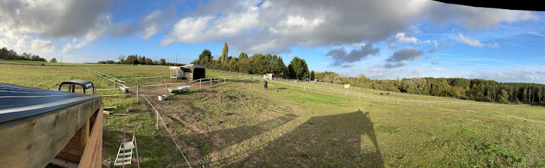 Les Écuries De L'ilot Pension Pour Chevaux à Orbigny