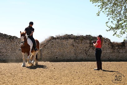 Ecuries De Primery, Centre Equestres à Saint-Jean-de-Sauves