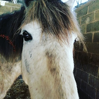 Lamballe Equitation, Centre Equestres à Andel
