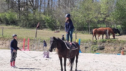 Les Ecuries D'Hautefage, Centre Equestres à Hautefage