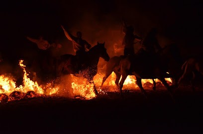 Aventure Au Galop, Centre Equestres à Donges