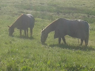 La Rose Des Vents, Centre Equestres à Cozes