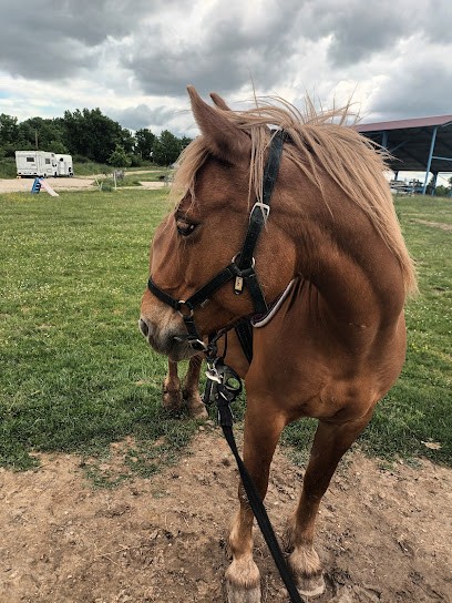 Les Sabots De L'honor, Centre Equestres à L'Honor-de-Cos