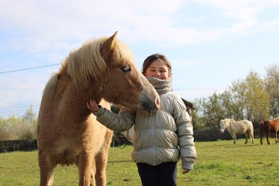 ECOLE D EQUITATION LA BERGERIE, Centre Equestres à Juillenay