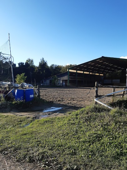 MYEQUIDREAM, Centre Equestres à Longpont