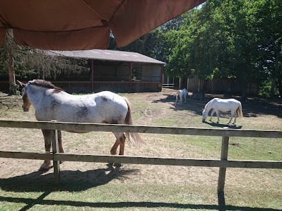 Equestrian Center De Gaujacq / Darrifourcq Céline, Centre Equestres à Gaujacq
