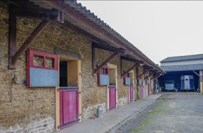 Haras D’Ock, Pension pour Chevaux à La Roche-Mabile