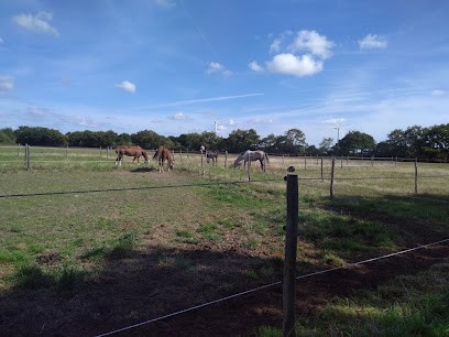Ecuries Des Harveries, Centre Equestres à Villeneuve-en-Retz