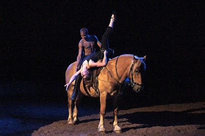 Diego N'co, Centre Equestres à Ruynes-en-Margeride