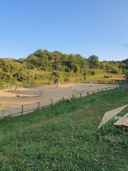 Equestrian Center Du Noisillet, Centre Equestres à Chinon